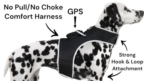 Track Pet Through Phone with Pet Tracker Collar GPS Tracking for Dog + App Size:M Track Pet Through Phone with Pet Tracker Collar GPS Tracking for Dog + App Size:M
